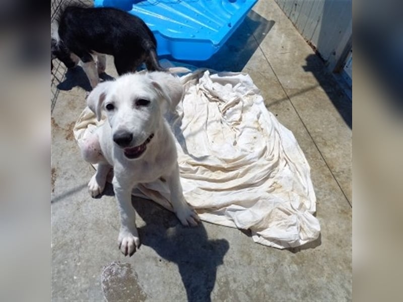 Unser schöner Snooze