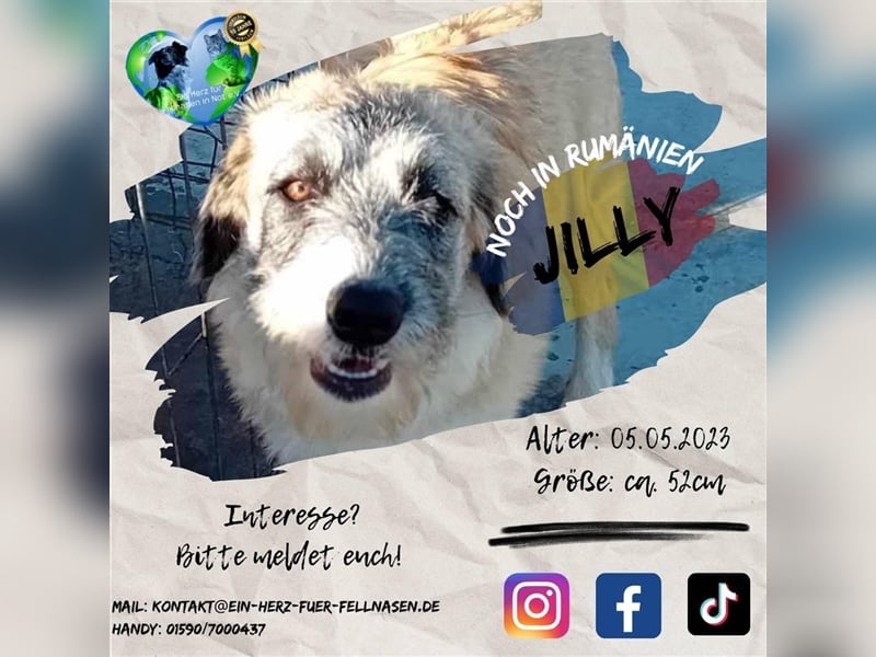 Unsere süße Jilly