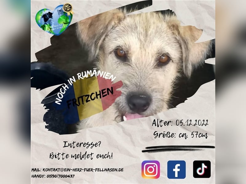 Unser liebevolles Fritzchen