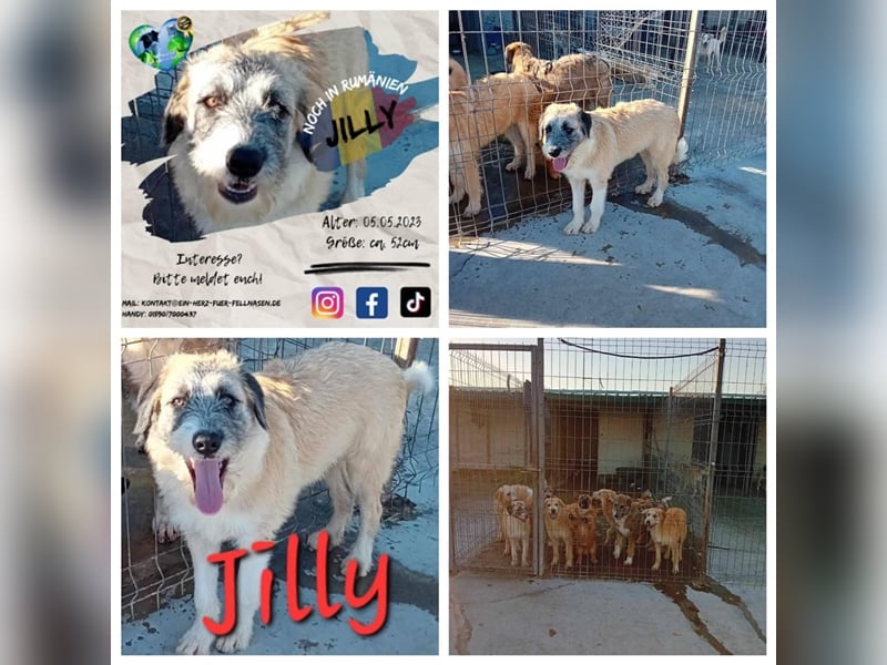 Unsere süße Jilly