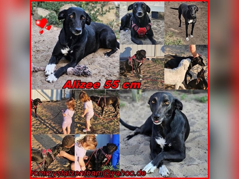 Alizee ist sozial, offen und klug