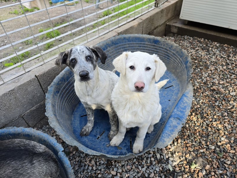 Clarita: freut sich auf Besuch in Schermbeck