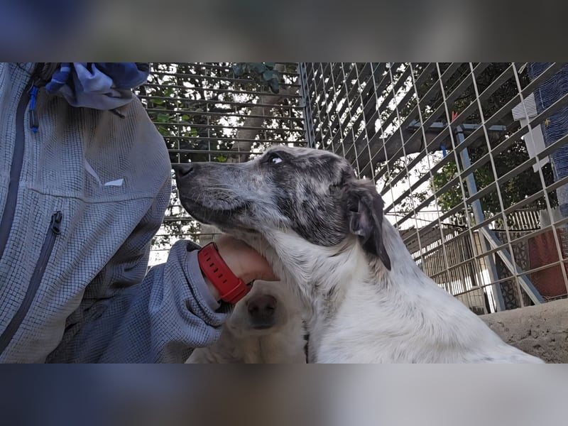 Clarita: freut sich auf Besuch in Schermbeck