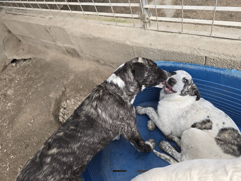 Clarita: freut sich auf Besuch in Schermbeck