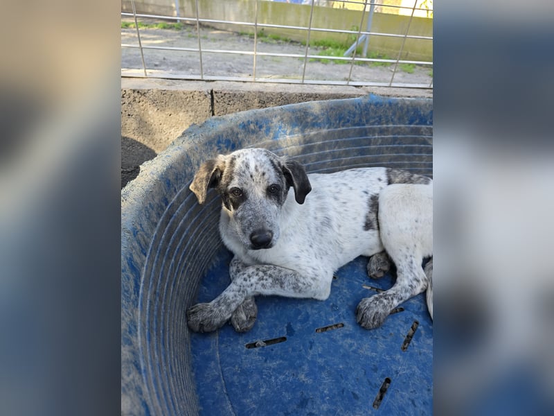 Clarita: freut sich auf Besuch in Schermbeck