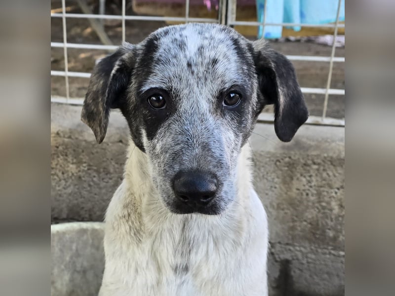 Clarita: freut sich auf Besuch in Schermbeck