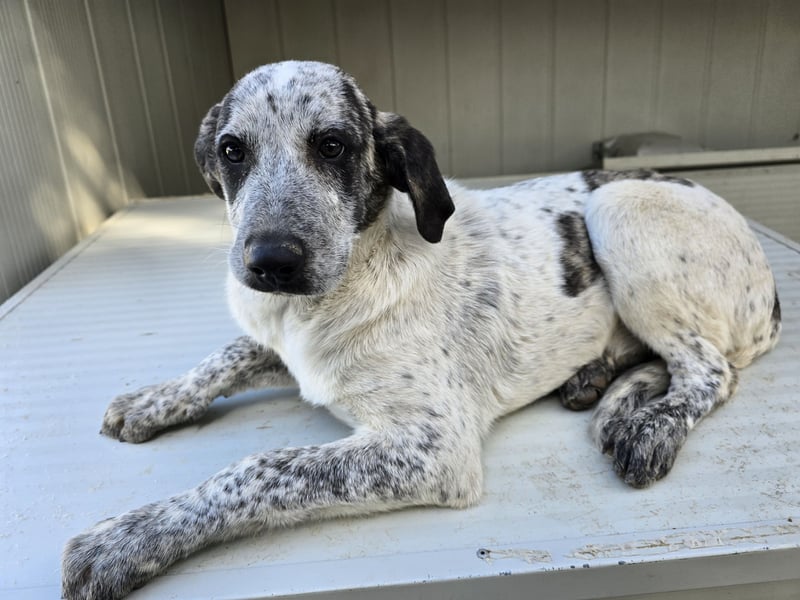 Clarita: freut sich auf Besuch in Schermbeck