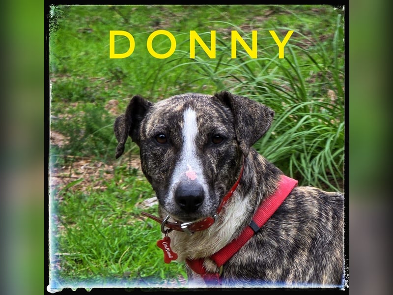 Donny (vorm. Donnie)