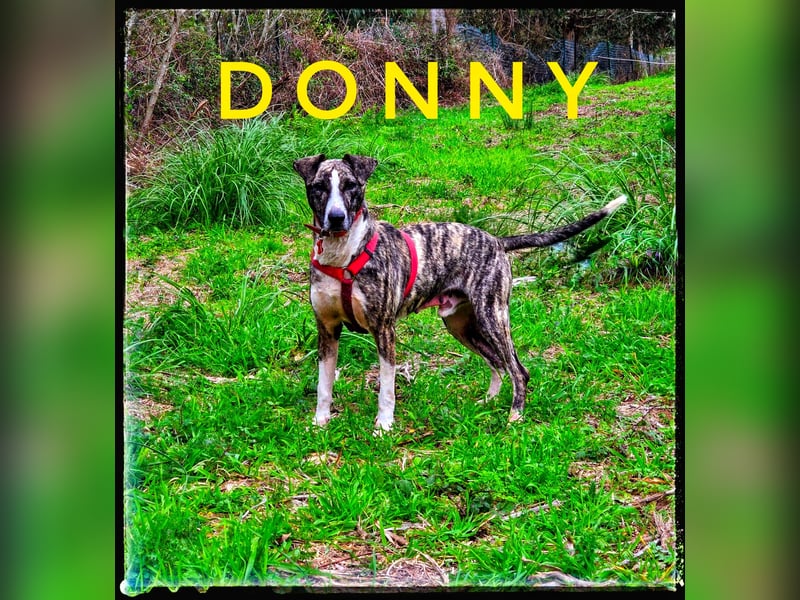 Donny (vorm. Donnie)