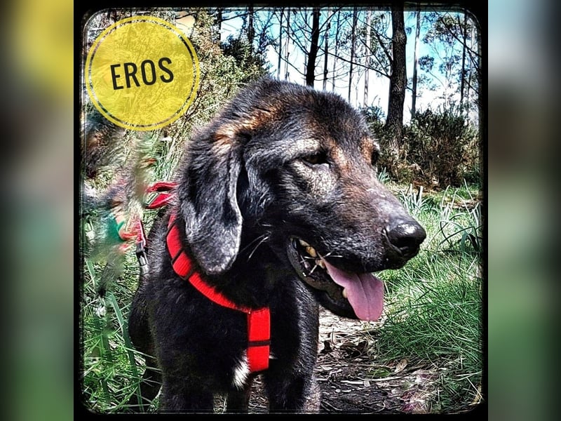 Eros