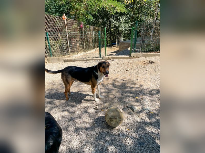 Traumbub ZLAJA sucht Familie zum Toben, Spielen und Spaßhaben :)