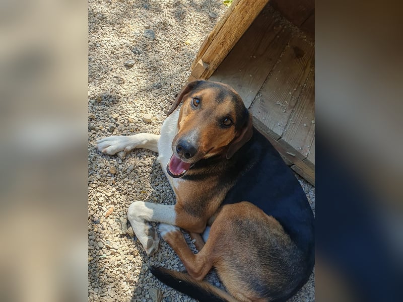 Traumbub ZLAJA sucht Familie zum Toben, Spielen und Spaßhaben :)