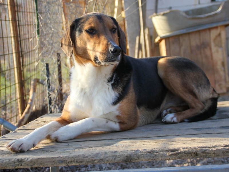 ZLAJA - wo ist sein FAMILIENRUDEL