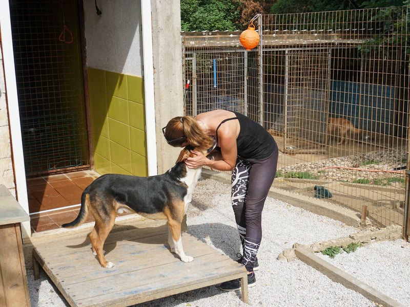 ZLAJA - wo ist sein FAMILIENRUDEL