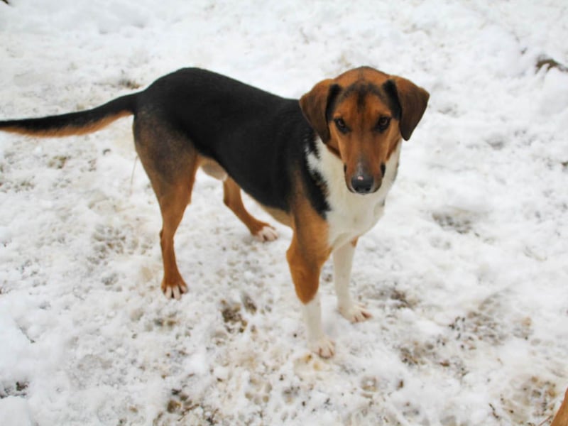 ZLAJA - wo ist sein FAMILIENRUDEL