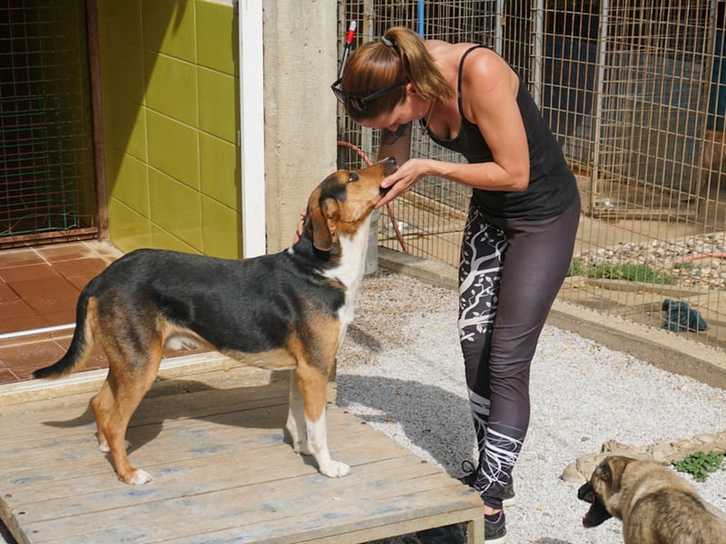 ZLAJA beliebte, verschmuste & soziale Fellnase
