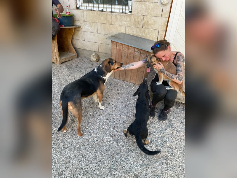 Traumbub ZLAJA sucht Familie zum Toben, Spielen und Spaßhaben :)