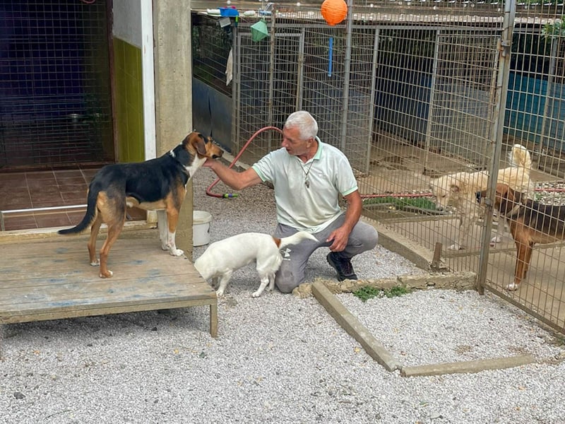 ZLAJA beliebte, verschmuste & soziale Fellnase