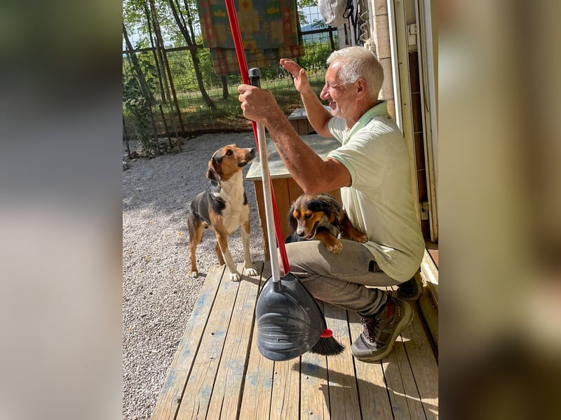 ZLAJA, verschmust, verspielt - zum VERLIEBEN ZLAJA, verschmust, verspielt - zum VERLIEBEN