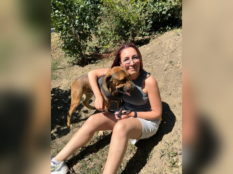 Theo - unser liebevoller Riese