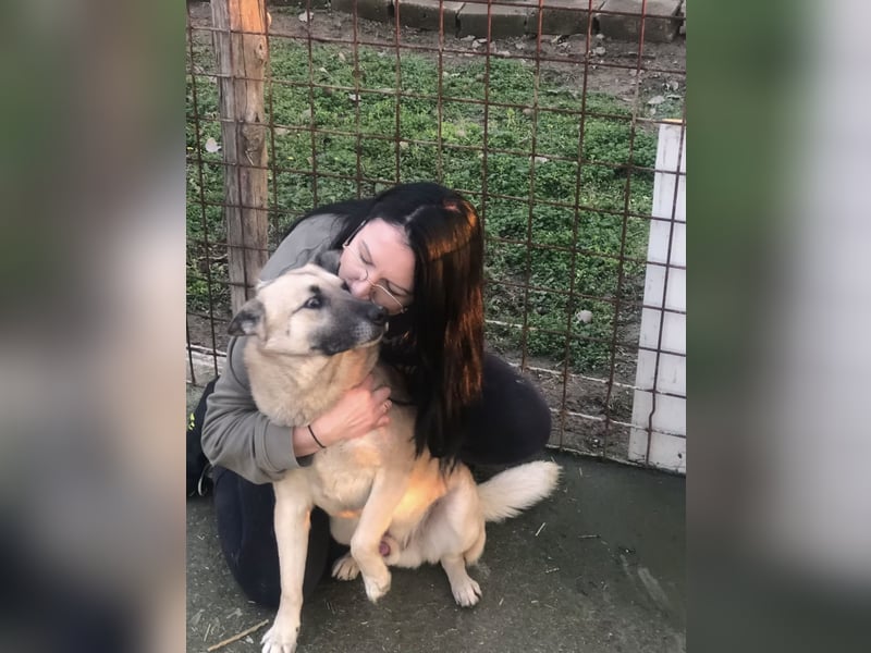 OSKAR – sanfter Seelenhund