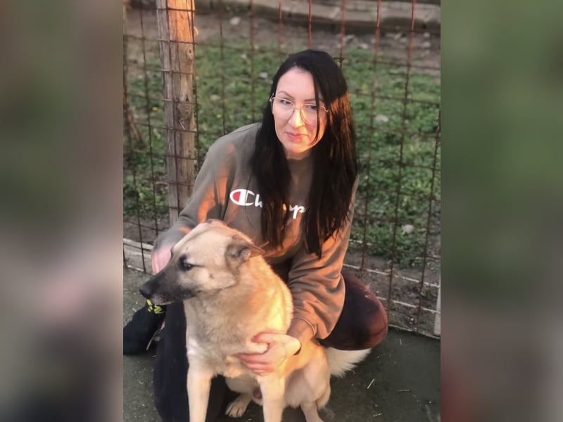OSKAR – sanfter Seelenhund