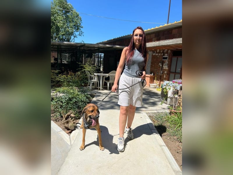 Theo - unser liebevoller Riese