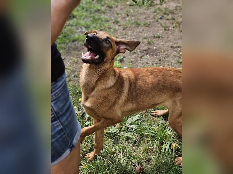 Dido sucht ihr Für-Immer-Zuhause