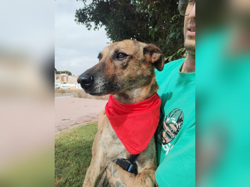 LOLA mag es sportlich