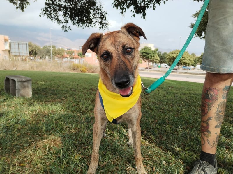 LOLA mag es sportlich