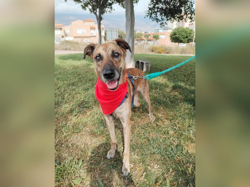 LOLA mag es sportlich