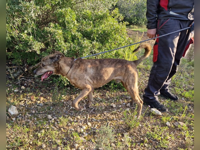 BORI - perfekt für Anfänger