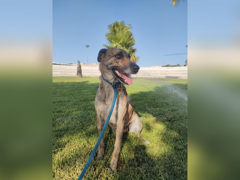 LOLA mag es sportlich