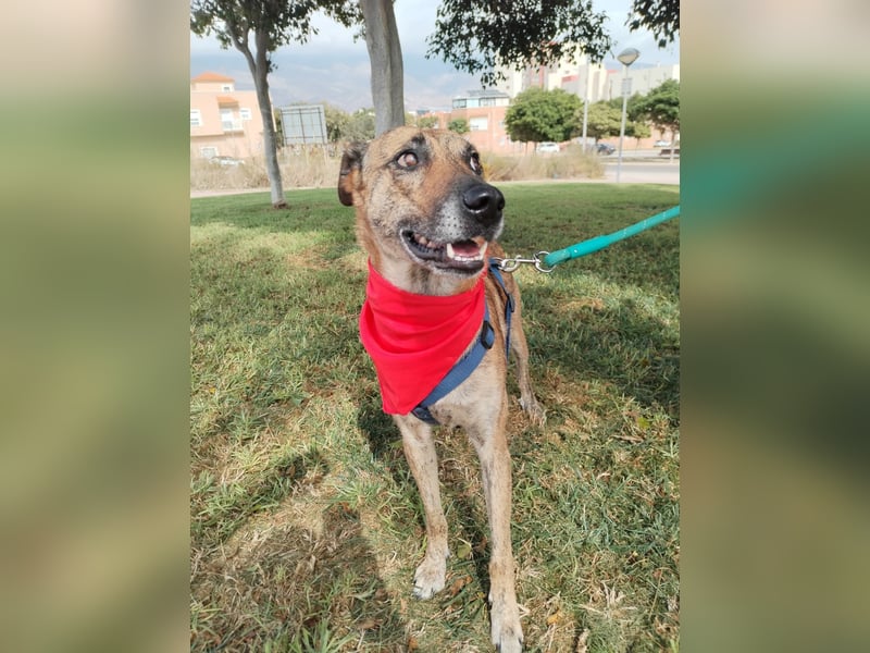 LOLA mag es sportlich