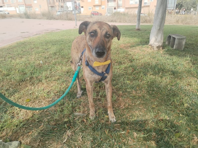 LOLA mag es sportlich