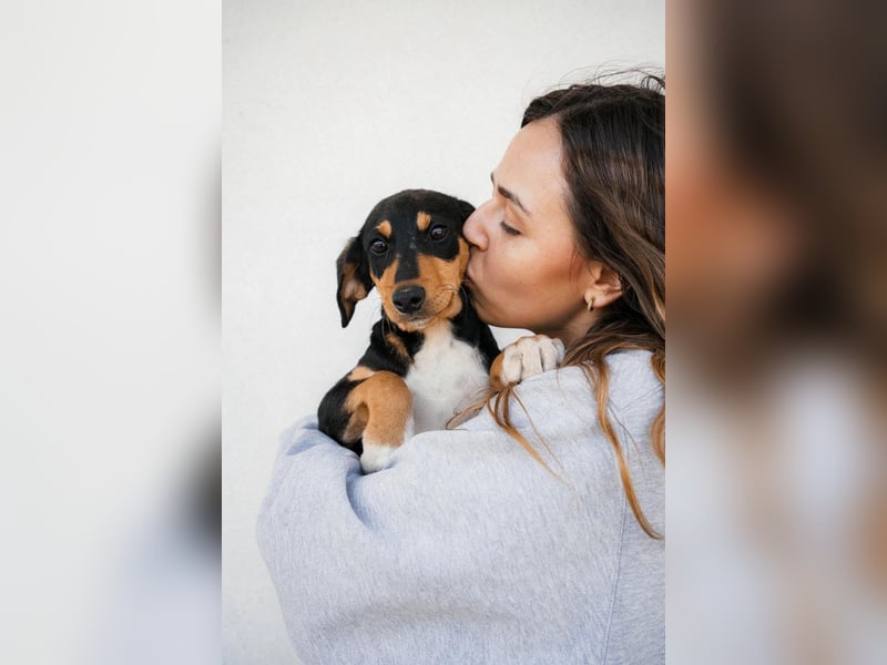 Piero, Lieber Welpe mit sanfter Seele sucht sein Für-immer-Zuhause ❤️