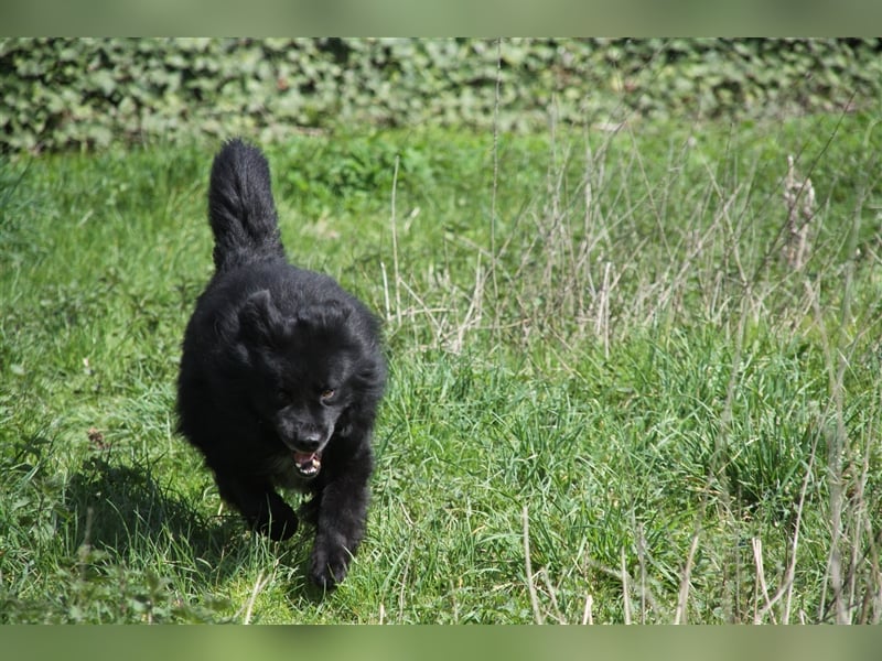 Balou wartet schon so lange...