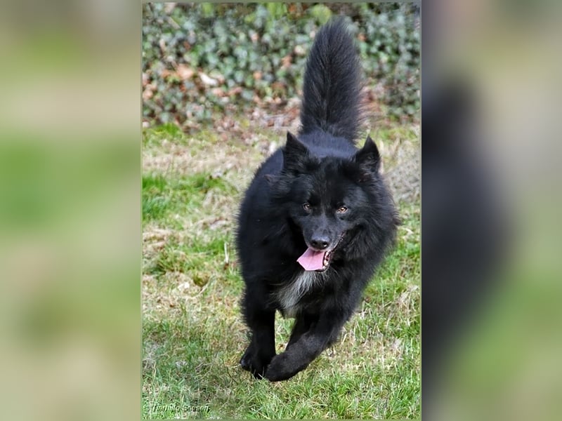 Balou wartet schon so lange...