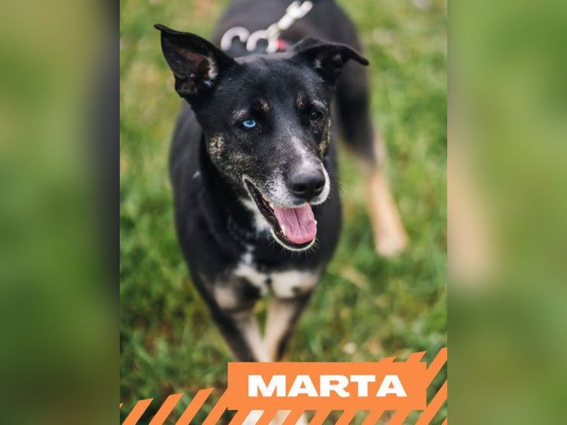 Marta