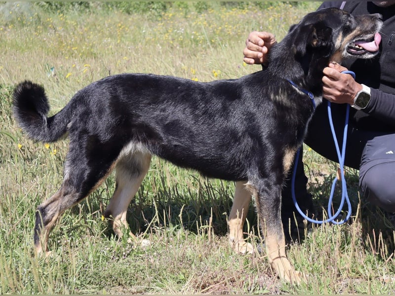 MaMa ❤️ MiMi hat sich aufopferungsvoll gekümmert ~  nun soll auch sie ihr Glück finden