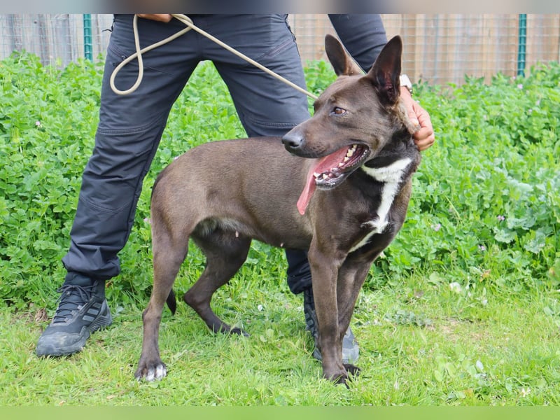 Powerlady Lindinha ❤️ liebt Katzen und Menschen