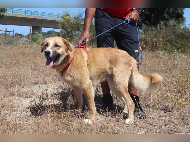 Lieblingsbeschäftigung Kuscheln ❤️ Robina ❤️