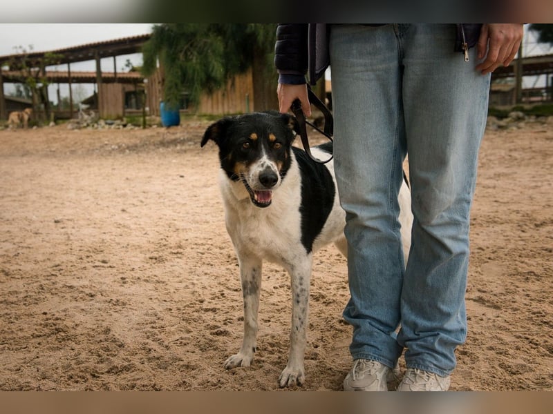 Fabiana ❣️ Ein liebes (großes) Mädchen