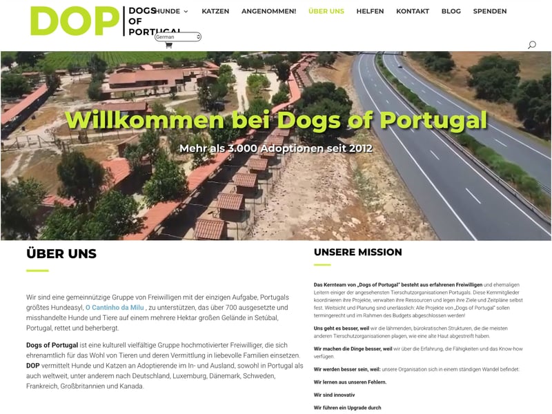 ! PFLEGESTELLEN • für Hunde aus Portugal • GESUCHT !