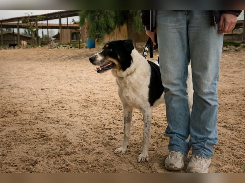 Fabiana ❣️ Ein liebes (großes) Mädchen
