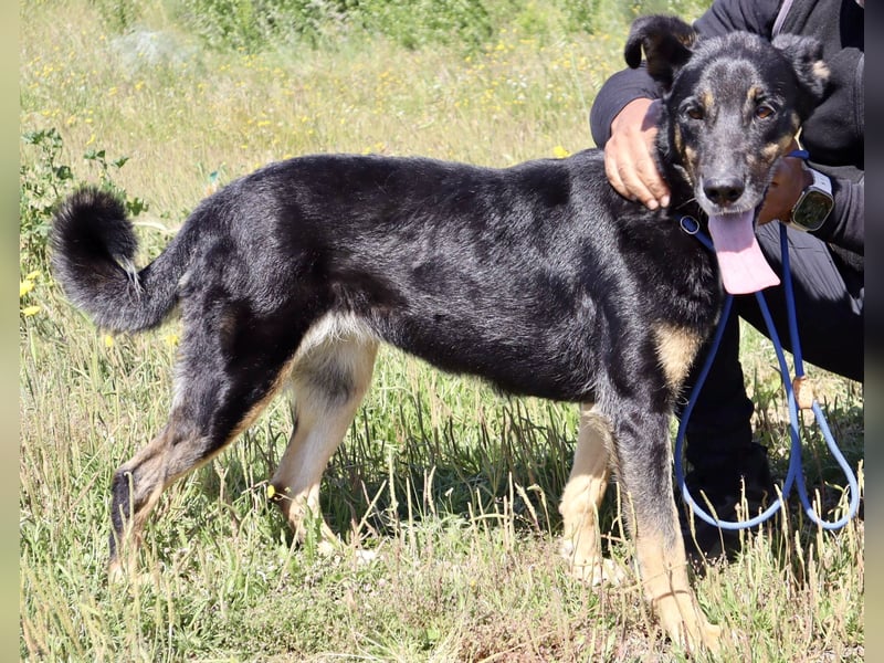 MaMa ❤️ MiMi hat sich aufopferungsvoll gekümmert ~  nun soll auch sie ihr Glück finden