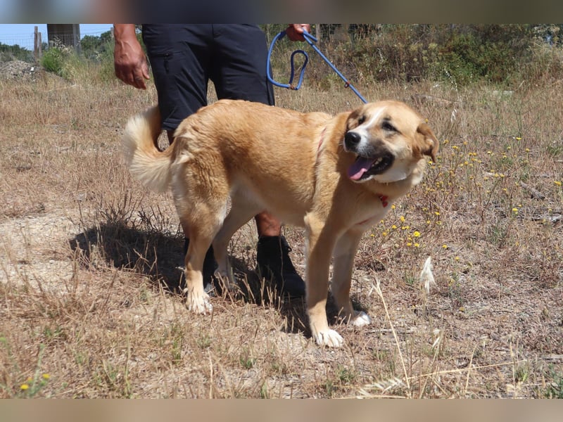 Lieblingsbeschäftigung Kuscheln ❤️ Robina ❤️