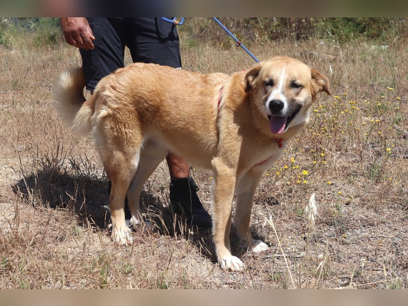 Lieblingsbeschäftigung Kuscheln ❤️ Robina ❤️