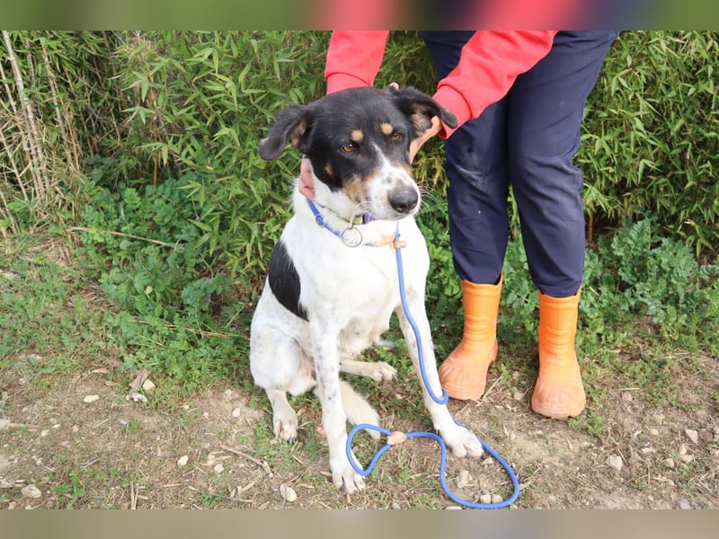 Fabiana ❣️ Ein liebes (großes) Mädchen