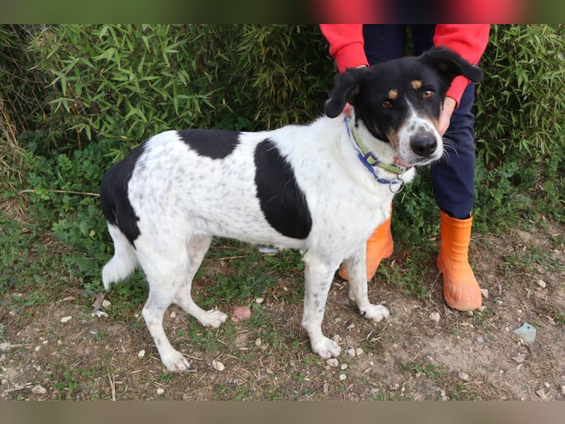 Fabiana ❣️ Ein liebes (großes) Mädchen